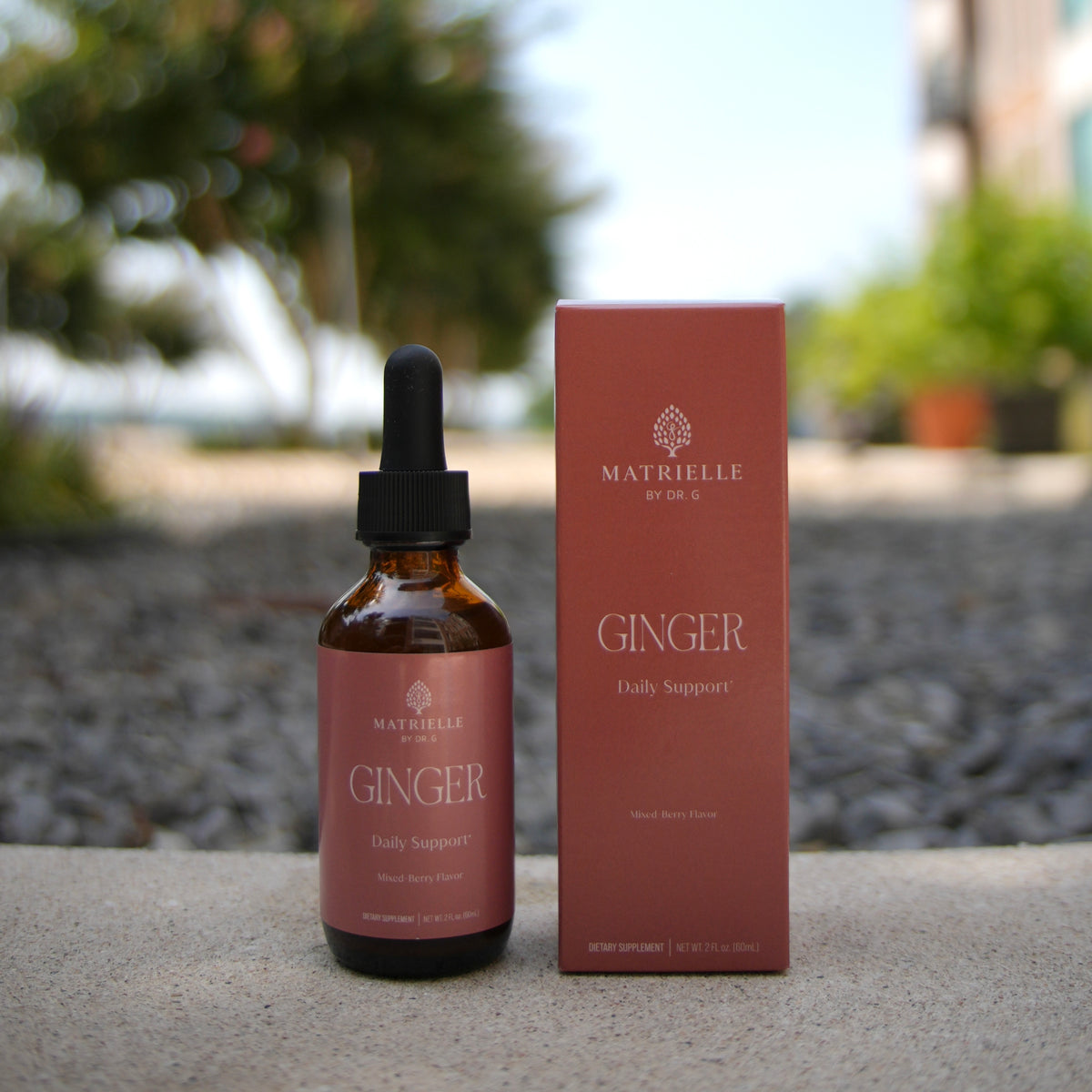 Ginger Root (Daily Support)